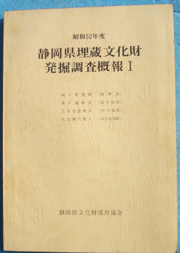 遺跡発掘調査報告書 ―古書・古本―渡井書店